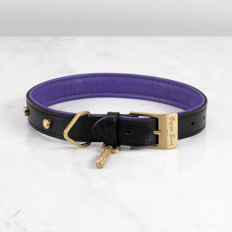 Dog Collar and Lead - matchless style