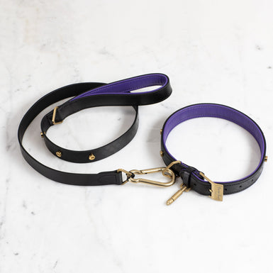 Dog Collar and Lead - matchless style