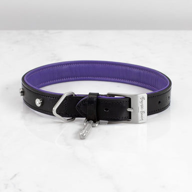 Dog Collar and Lead - matchless style