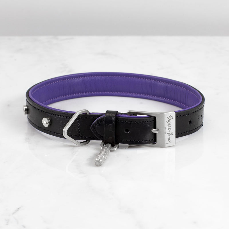Dog Collar and Lead - matchless style