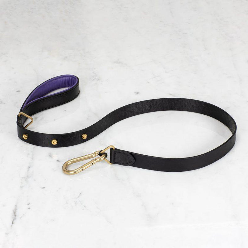 Dog Collar and Lead - matchless style