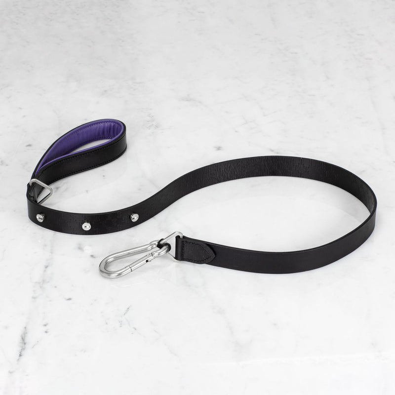 Dog Collar and Lead - matchless style