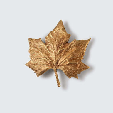 Folio - matchless style