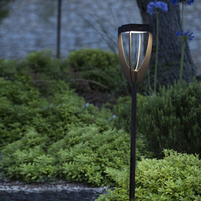 Tulip Torch Light