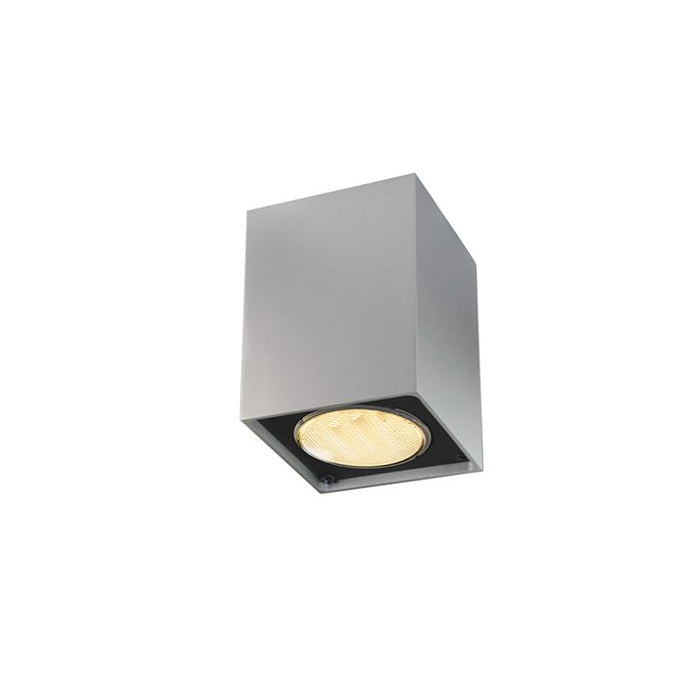 Ceiling Light, GU10 bulb, White